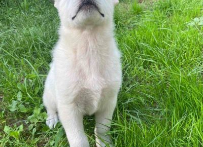 viberimage202307051506190211689020038