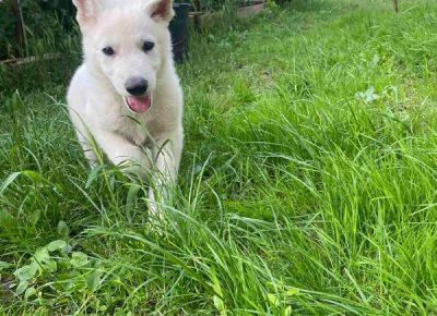 viberimage202307051506191941689020039