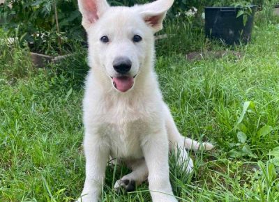 viberimage202307051506195741689020038