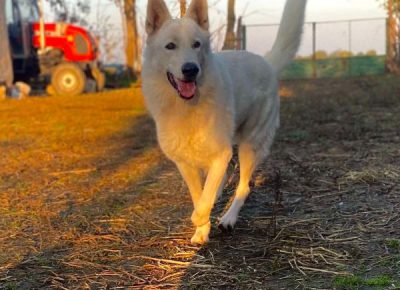 viberimage202307051506197481689020037