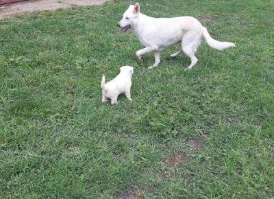 viberimage202307051506199771689020038