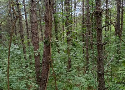 IMG202308121410561692030304