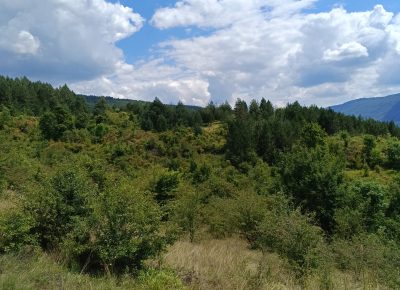 TimePhoto202308121308231692030316