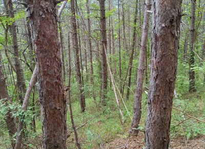 TimePhoto202308121424161692030330