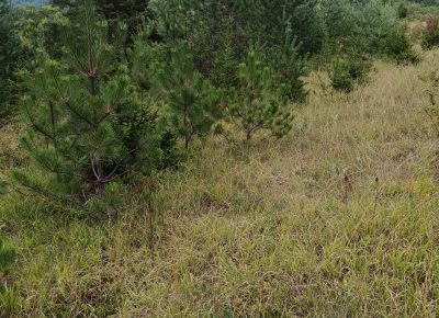 TimePhoto202308121555261692030345