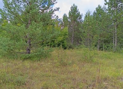 TimePhoto202308121605051692030362