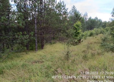 TimePhoto202308121729091692030394