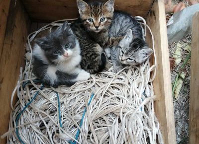 002053190a24a4e12f5dccb7c24ae77695ae5730b0a6404eaf900b138d083c1c7d831b2bf2ecb1252a6d51697631569