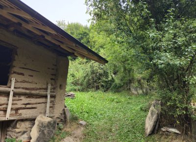 IMG60119c11c5fc3d81e2512d37ebe39449V1697829913