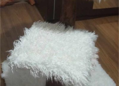 4112151877278466458874623271514854574934679n1705696247