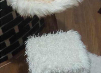 4112523417487745706422304938335804002188021n1705696247