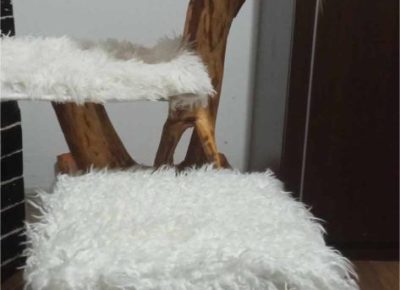 41126062123306139039948871452710458973335757n1705696249