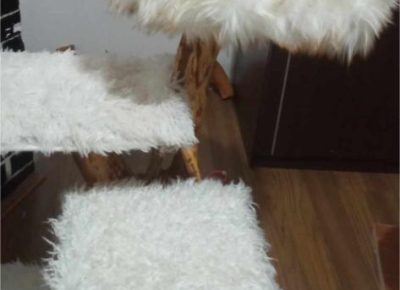 4167697193501286577301462613061571431338297n1705696248