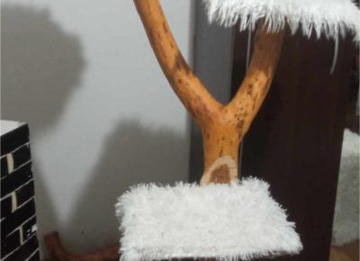 41681095813276042779525715024237983803962909n1705696250