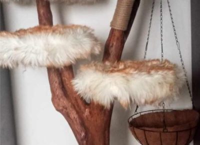 41697489821294383373907421859118188960900247n1705696248