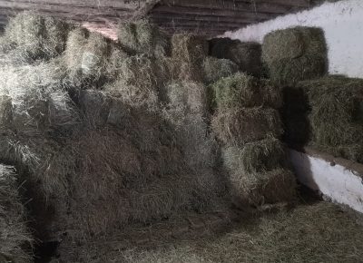 IMG202312301158391705515487