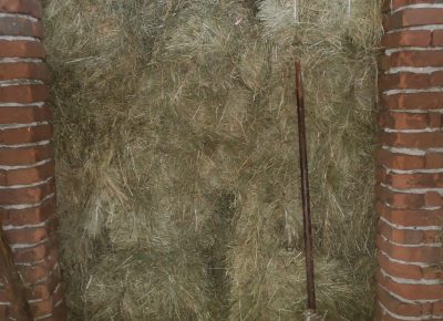 IMG202312301201001705515484