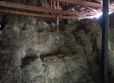 IMG202312301201481705515485