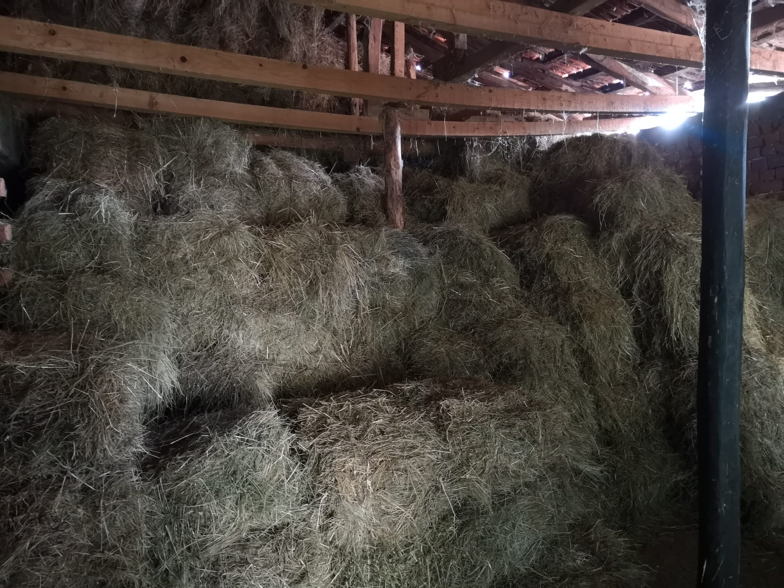 IMG202312301201481706962331