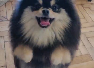 viberimage202401301351133641707168911