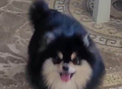 viberimage202401301351453531707168910