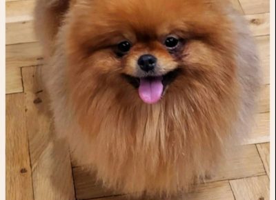 viberimage202401301353042331707168911