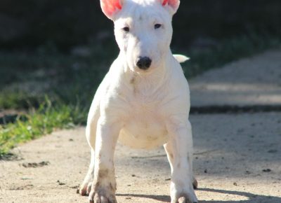 viberimage202402011852567951707253125