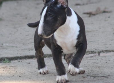 viberimage202402011853133211707253126