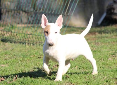 viberimage202402011853475551707253126