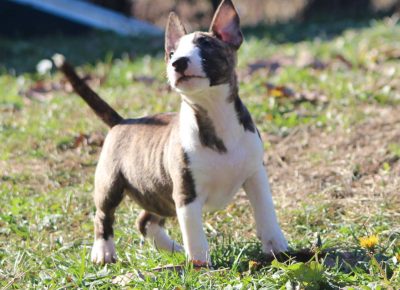 viberimage202402011855152331707253127