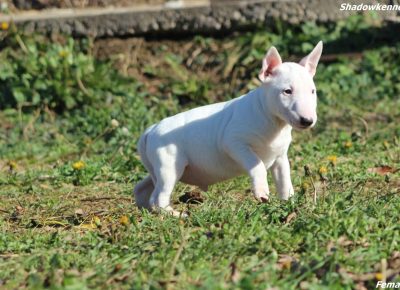 viberimage202402011856225031707253128