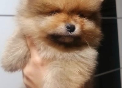 viberimage202402042112251031707168910