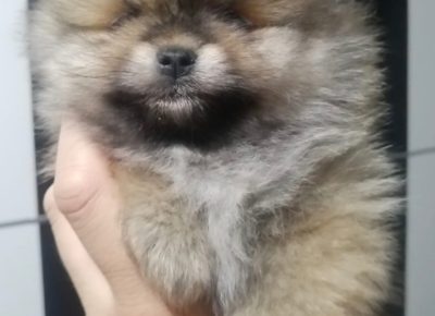 viberimage202402042112511511707168911