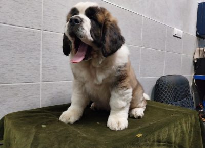 202402131706191710010349