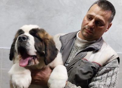 202402131714571710010333