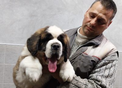 202402131715091710010314