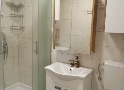 6FlatJuhorskabathroomfull1709389867