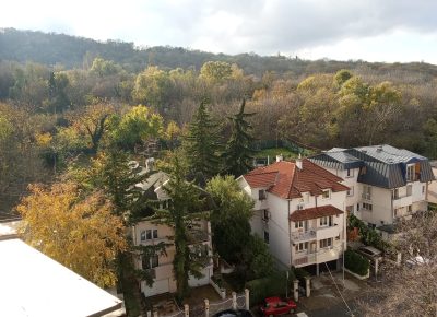 8FlatJuhorskaParkdistantview1709915950