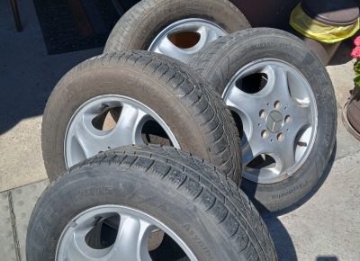 IMG20230704143926mer1709468413