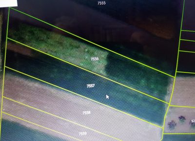 202405241350591716552714