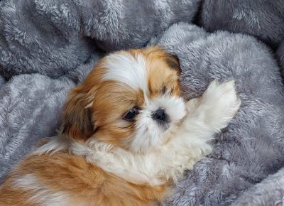 IMG99d46d552a2eadf5c032024db651d10fV1716566174