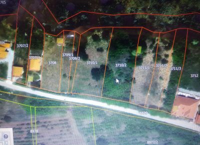 202407241155441721817689