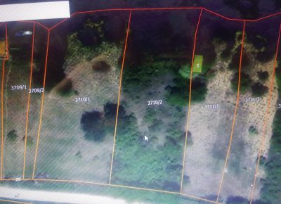 202407241156011721817733