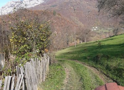 IMG202011081116104651722097514