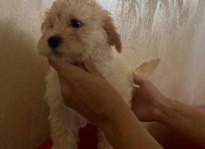 sddsdsfsfd1721261606