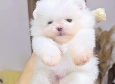 viberimage202407110832098211720981189