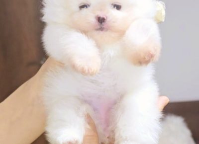 viberimage202407110832186151720981192