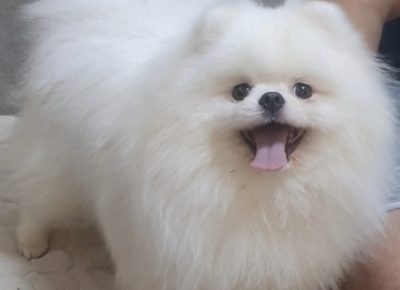 viberimage202407110838592461720981191