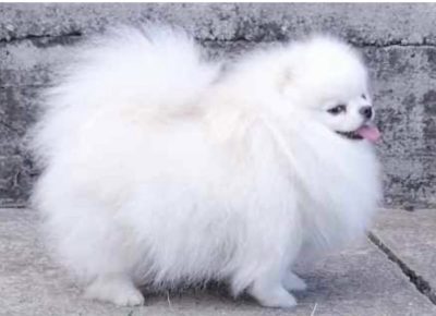 viberimage202407110839080061720981191