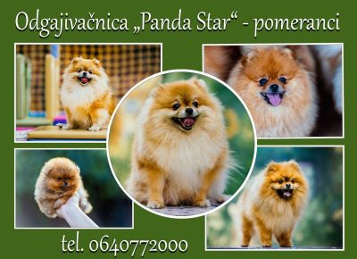 viberimage202407110843466061720981190